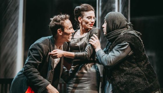 Спектакль «Железнова Васса. Мать»