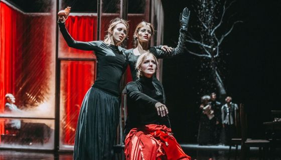 Спектакль «Железнова Васса. Мать»