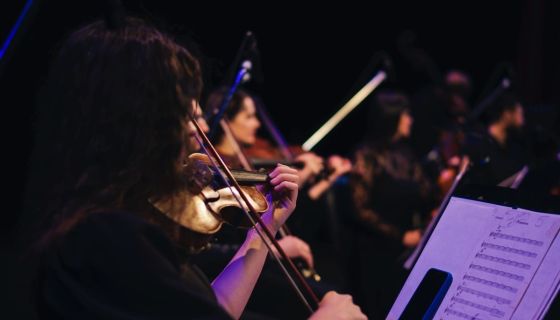 Neo Classic Orchestra. Вселенная Гарри Поттера при свечах