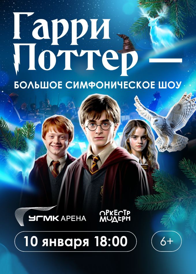 Концерт «Гарри Поттер - новогодняя симфоническая сюита»