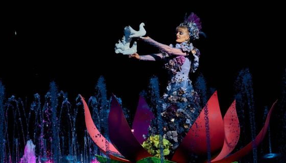 Цирк на воде «Подводное царство»