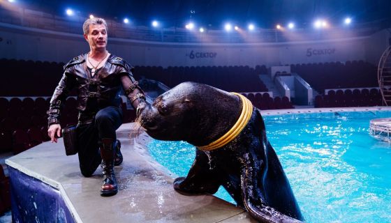 Цирк на воде «Подводное царство»