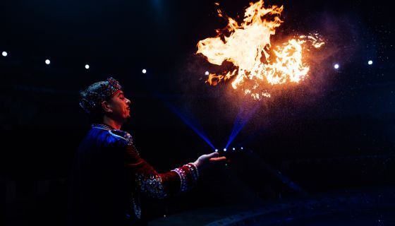 Цирк на воде «Подводное царство»