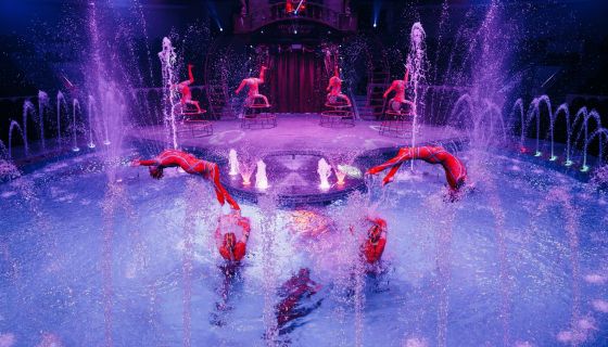 Цирк на воде «Подводное царство»