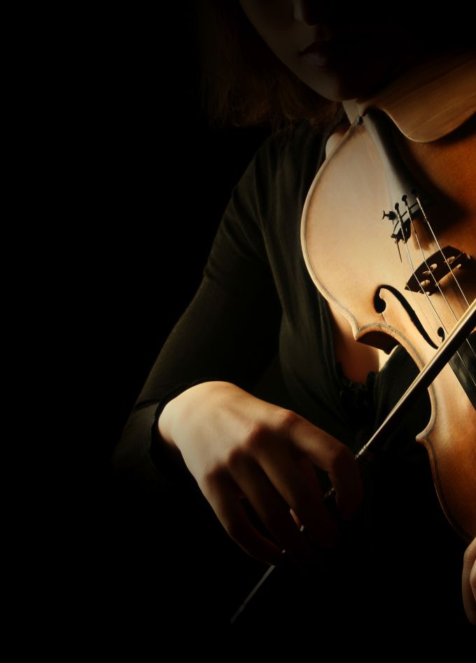 Корни и крона