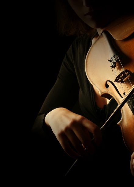 Корни и крона