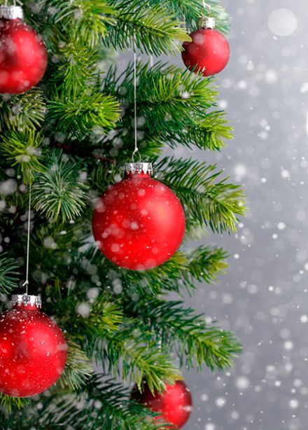 В ожидании чуда. Новогодний концерт