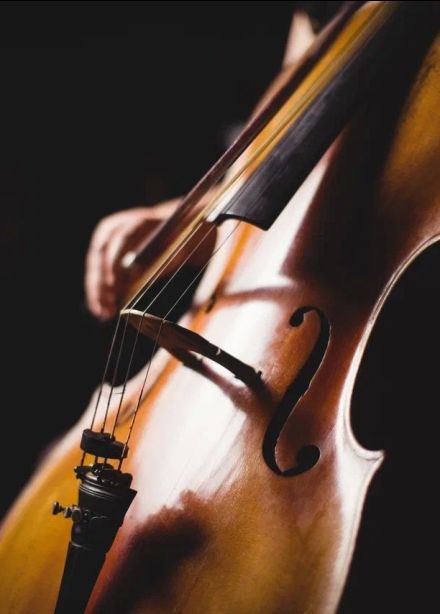 Концерт «Чайковский — гений родом из детства»