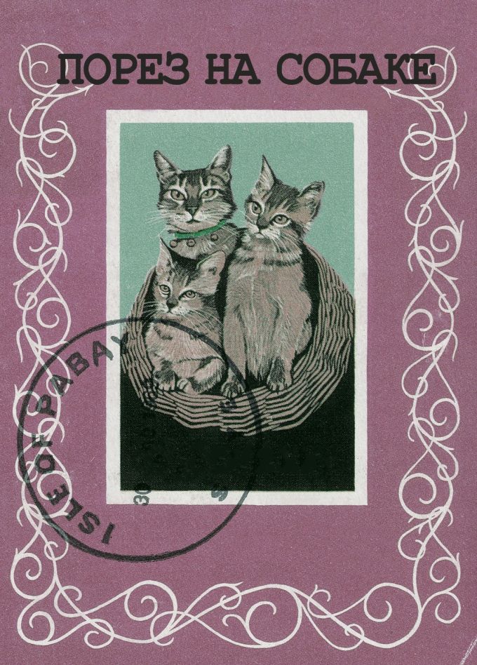 Порез на собаке