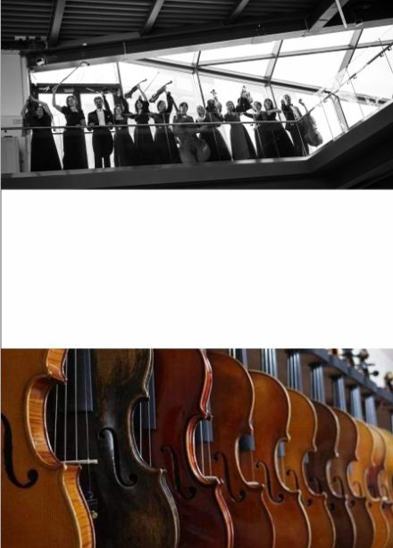 Концерт для оркестра