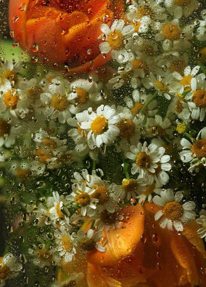 Оркестр «Модерн». Рихтер & Эйнауди: оркестровые эскизы