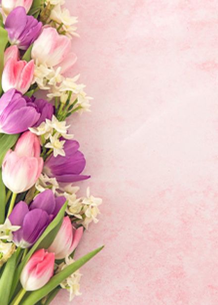 Букет прекрасных поздравлений