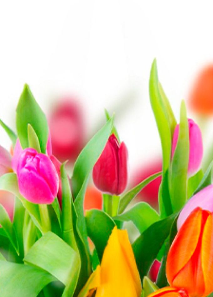 Весна – время радости и надежды. Концерт