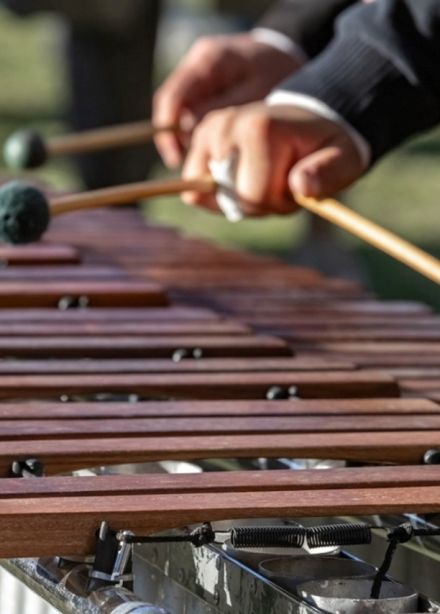 Ударные. Ксилофон