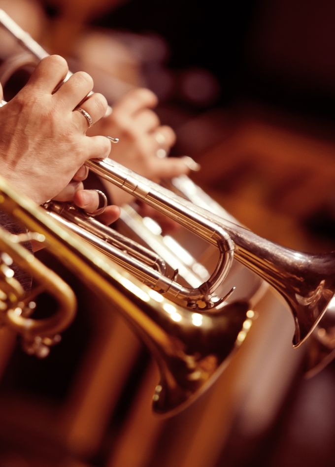 Медные духовые. Туба