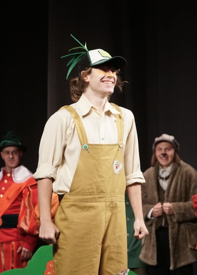 Приключение Чиполлино и его друзей