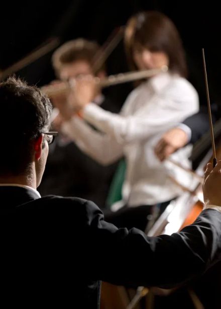 Карнавал животных. Музыка К. Сен-Санса