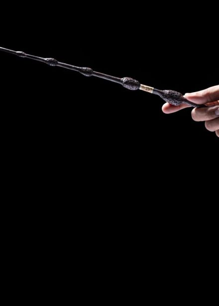 Оркестр Sonorus. Гарри Поттер