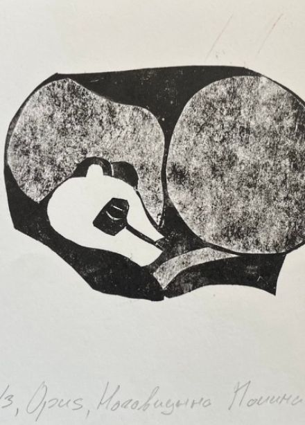 Урал заповедный. Мастер-класс