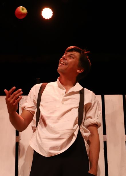 Приключения Тома Сойера