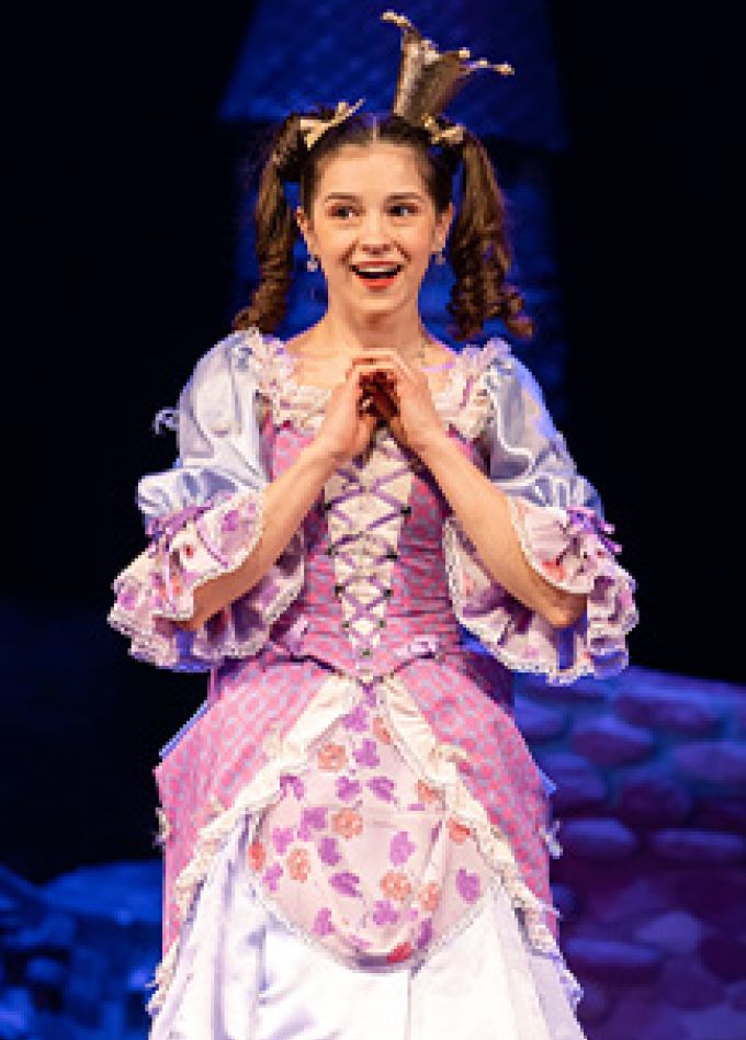 Бременские музыканты