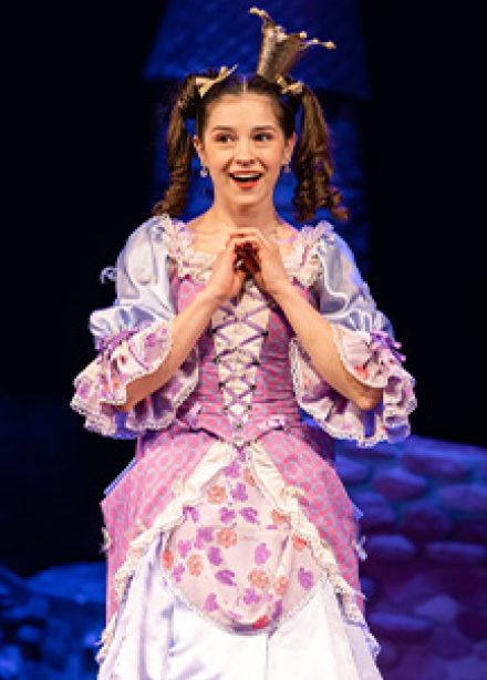 Бременские музыканты