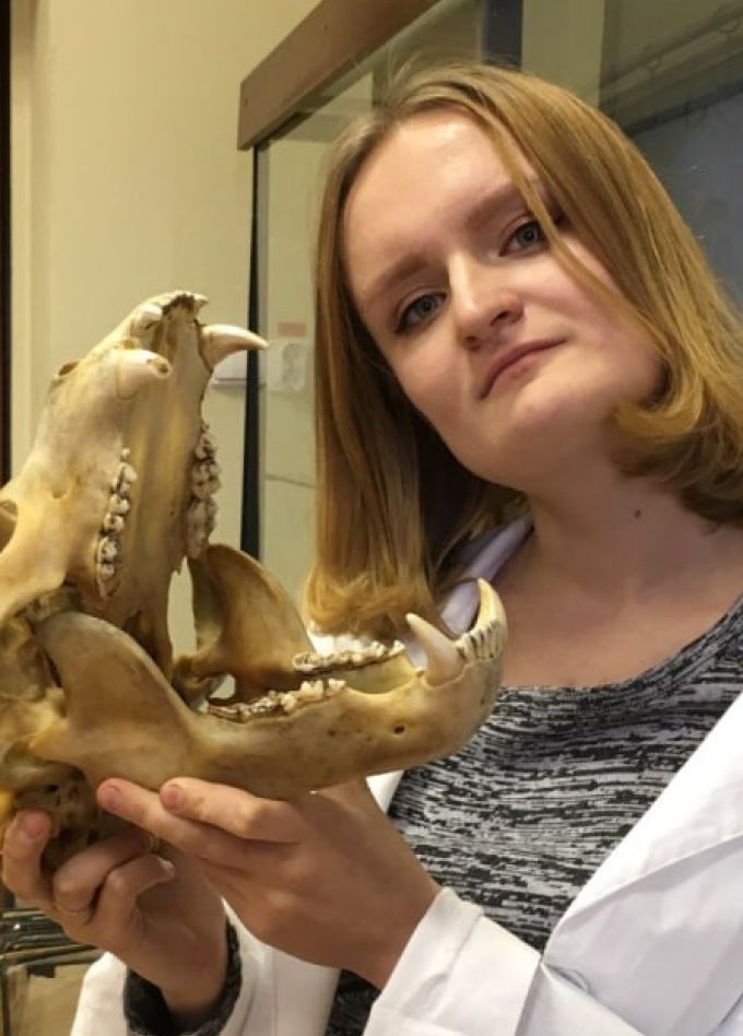 Уральские хищники: пещерные медведи. Лекция