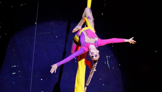 Цирк-шапито «Сокол». Шоу «Зажигаем», Ревда