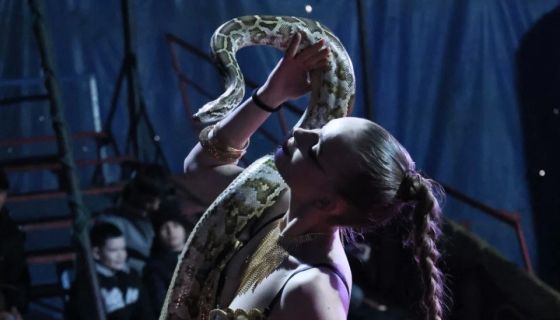 Цирк-шапито «Сокол». Шоу «Зажигаем», Ревда