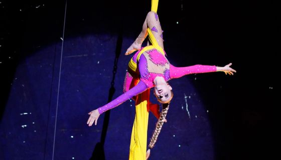 Цирк-шапито «Сокол». Шоу «Зажигаем»