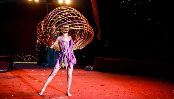 Цирк-шапито «Сокол». Шоу «Зажигаем»