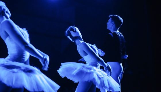 Лето пируэта. Балет «Лебединое озеро»