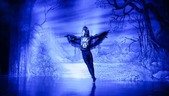 Балет «Лебединое озеро»