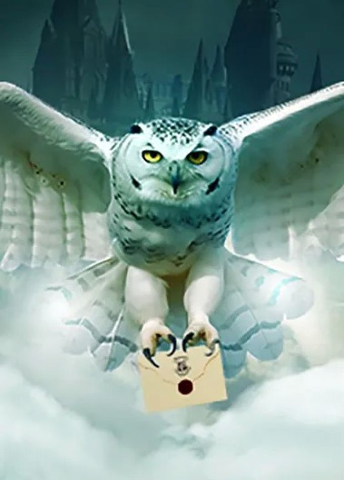 Оркестр «Sonorus». Гарри Поттер