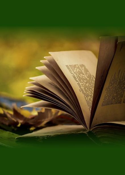 Литературное приключение «Тайны забытых книг»