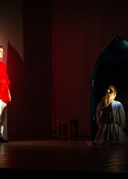 Ермаковы лебеди