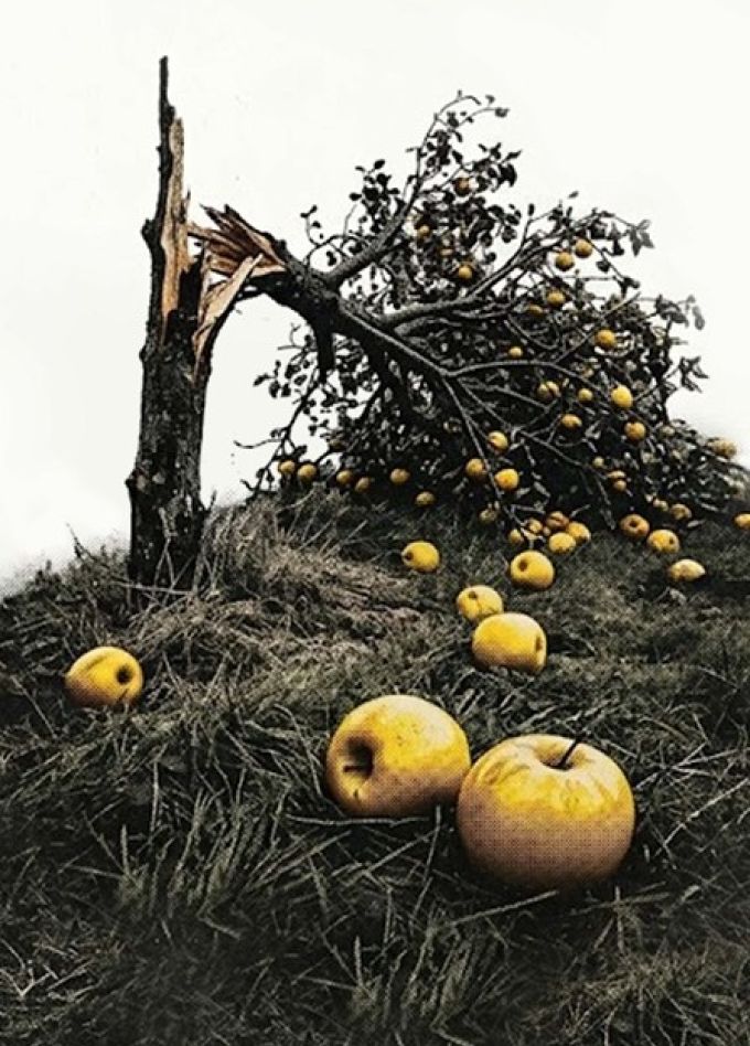 Спектакль «Все мои сыновья»