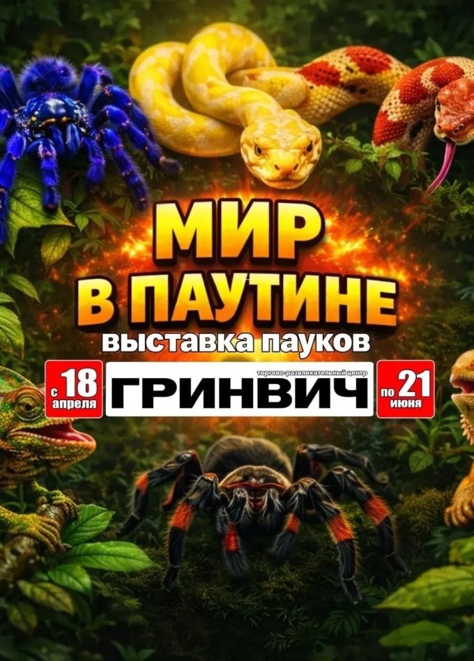 Выставка пауков и рептилий «Мир в паутине»