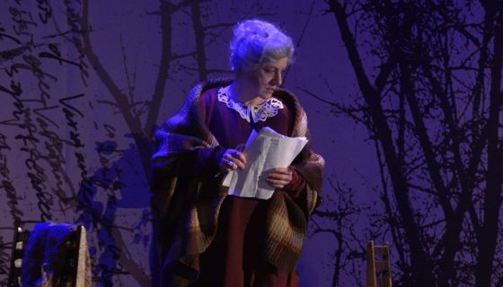 Спектакль «Фаина. Птица, парящая в клетке»,  Каменск-Уральский