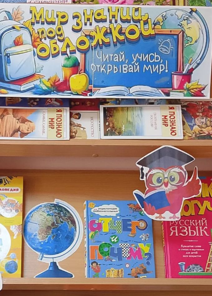 С книгой жить – век не тужить. Интеллектуальная программа